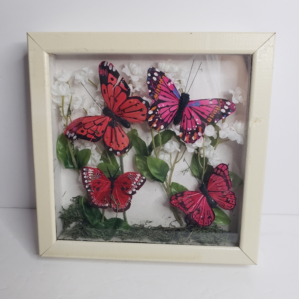 Butterfly display wall hanging. 212